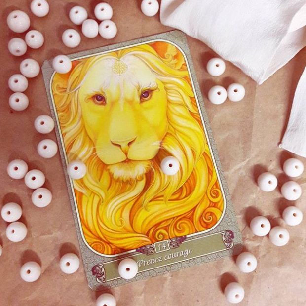 14709581_1231786266900424_2734010820097736704_n